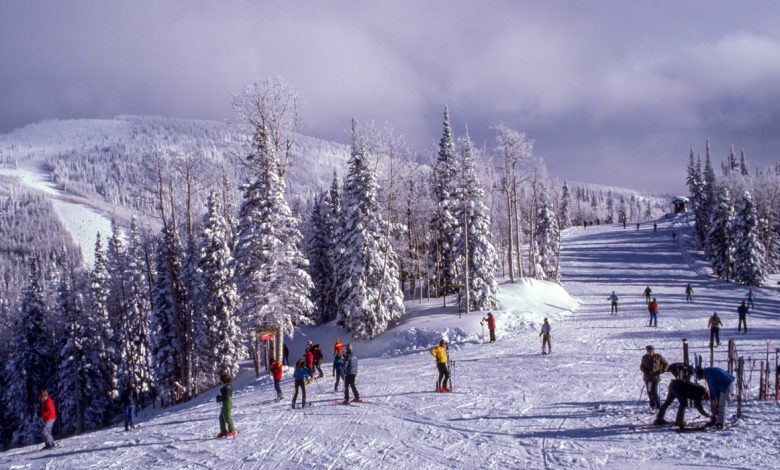 Skiing on a snow-covered hill