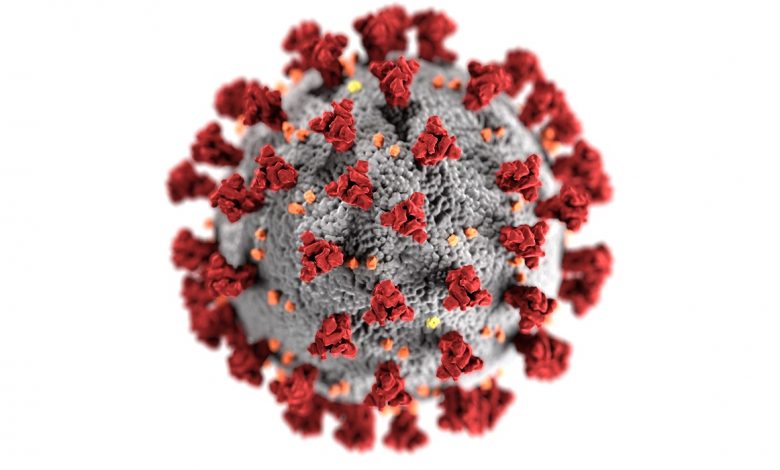 This illustration provided by the Centers for Disease Control and Prevention CDC shows the Novel Coronavirus. Photo credit: Alissa Eckert, MSMI, Dan Higgins, MAMS